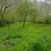 فروش باغ داخل بافت روستا مناسب برای ساخت ویلا