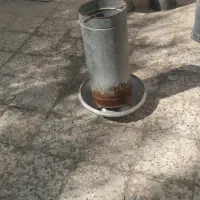 دانخوری فلزی بوقلمون