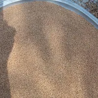 کنجد فروشی درجه یک
