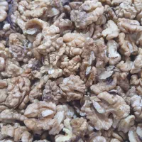 مغز گردو سفید امساله