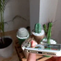 iphone 6s بازنشده|موبایل|رشت, نخودچر|دیوار