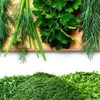 خردکردن سبزی  با  دستگاه صنعتی