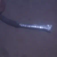 سیم انتن درجه یک