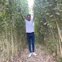 فروش بدون واسطه نهال|خدمات باغبانی و درختکاری|سردشت, |دیوار