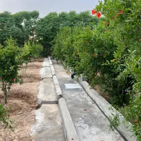 فروش زمین ۳۰۰ متری|فروش زمین و ملک کلنگی|ری, شهرری|دیوار