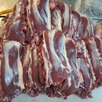 پخش راسته بی استخوان و مغز گوسفندی