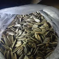 تخمه آفتاب گردان اس400