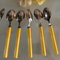 قاشق برند باریکو|ظروف سرو و پذیرایی|مشهد, هفت تیر (آب و برق)|دیوار