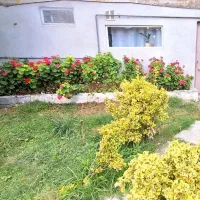 استخدام سرایدار زوج جوان