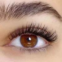 نیاز مند مدل انواع لیفت مژه ،لیفت ابرو ، کلاسیک|خدمات آرایشگری و زیبایی|نجف‌آباد, حومه نجف آباد|دیوار