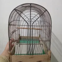 قفس سهره قدیمی|لوازم جانبی حیوانات|پاکدشت, پاکدشت (مامازند)|دیوار