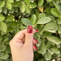 کاشت ناخن با بهترین متریال|خدمات آرایشگری و زیبایی|تربتحیدریه, کاشانی|دیوار