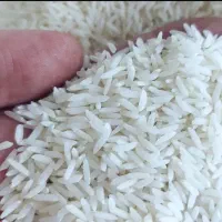طارم هاشمی فوق العاده|خوردنی و آشامیدنی|تهران, دبستان|دیوار