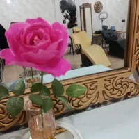 وسایل آرایشگاه به دلیل تغییر شغل