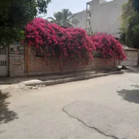 خانه-ویلایی-در-بهترین-خیابان-شهرک-دانشگاه