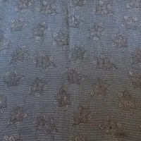 پارچه چادر رنگی مجلسی|لباس|اصفهان, باغ دریاچه|دیوار