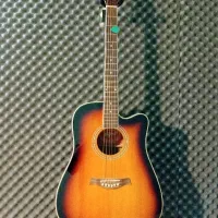 گیتار تاگیما کانزاس معاوضه با C70