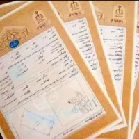 درآمد بالا/در هر شرایطی/مشاور حتی مبتدی