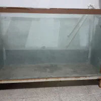 آکواریوم سالم و تمیز