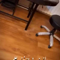 اجاره صندلی در سالن زیبایی|خدمات آرایشگری و زیبایی|رشت, پارک شهر|دیوار