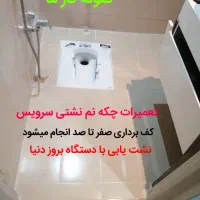 نشت یابی آب فاضلاب رفع نم سرویس پیروزی آهنگ افسریه|خدمات پیشه و مهارت|تهران, هاشمآباد|دیوار