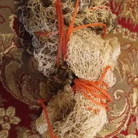 تور ماهیگیری چطری