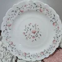 سرویس ارکوپال ۶ نفره|ظروف سرو و پذیرایی|هشتگرد, فاز ۷ مهستان|دیوار