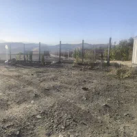 زمین ۶۸۰۰متر سنددار جاده اصلی مریوان|فروش زمین و ملک کلنگی|سنندج, |دیوار