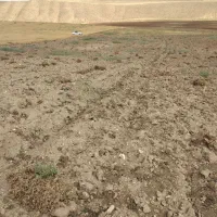 نمایندگی فروش در قم