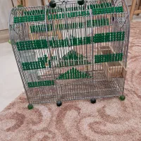 قفس سهره دست ساز مهره سبز|لوازم جانبی حیوانات|مرودشت, ثبت احوال|دیوار