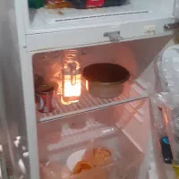 فرش دستی۱۲متری|فرش|پرند, فاز ۴|دیوار