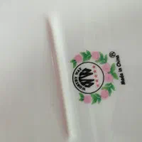 دیس گل سرخی|ظروف سرو و پذیرایی|کرج, حصارک بالا|دیوار