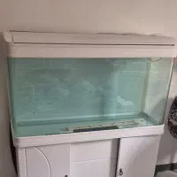 اکواریوم سالم سایز ۱۲۰