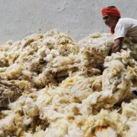 پشم گوسفند|رختخواب، بالش، پتو|اندیمشک, |دیوار