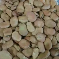 باقالا پزا به شرط