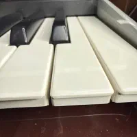 pa4x اورینتال|پیانو، کیبورد، آکاردئون|بندرعباس, |دیوار