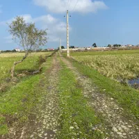 فروش شالیزار|فروش زمین و ملک کلنگی|آستارا, |دیوار