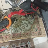 دوچرخه ۱۲|دوچرخه، اسکیت، اسکوتر|قدس, شهر‌قدس|دیوار