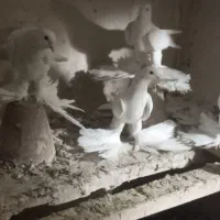 پرنده|پرنده|تبریز, |دیوار