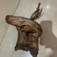 چوب ابنوس و بایو فیلتر|ماهی|کرج, عظیمیه|دیوار