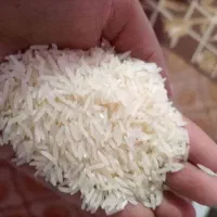 برنج ایرانی درج یک یک به ضمانت|خوردنی و آشامیدنی|بیرجند, |دیوار