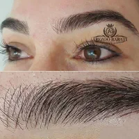 آرایش دائم،فیبروز،تاتو چشم رژلب دائم آموزش،خدمات|خدمات زیبایی و سلامت|تهران, قلهک|دیوار