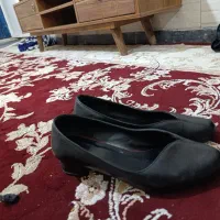 کفش|کیف، کفش، کمربند|شیراز, مسلم|دیوار