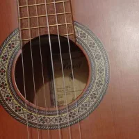 گیتار پارسیm6