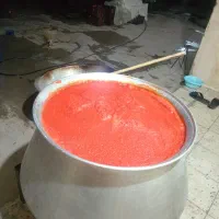 رب خونگی