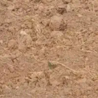 زمین-هفت-چشمه