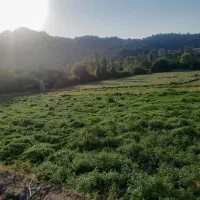 ۱۲۰۰متربرجاده خیابان آبشار