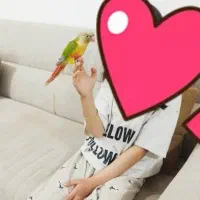 فروش جوجه طوطی گرینیچیک آناناسی