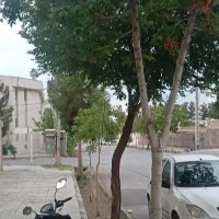 18قصب-ج-م-ه-و-ر-ی-12-تاپ-لوکیشن