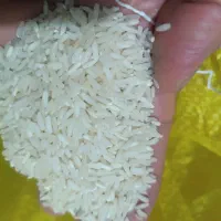 برنج عنبربو|خوردنی و آشامیدنی|اهواز, گلستان|دیوار